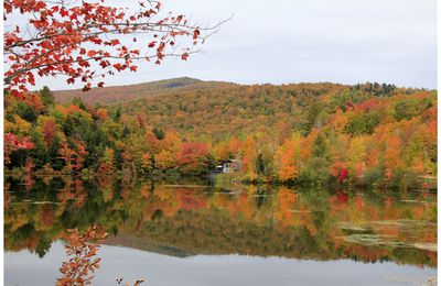 La saison des couleurs