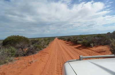 Shark Bay