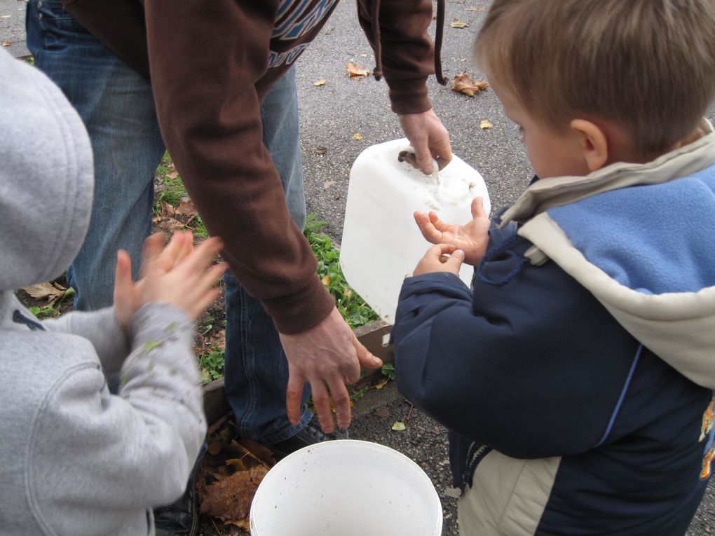 BIODIVERSITE à l'école du village: des élèves de l'école maternelle("les moyens")ont planté des fleurs sauvages locales au pied des 2 platanes devant l'école, début novembre 2010 avec l'aide des jardiniers du JARDIN BUISSIONNIER.