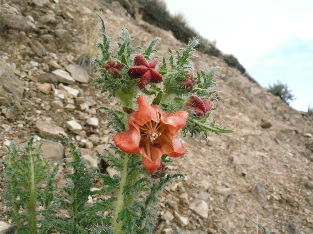 Journée rando sur les hauteurs du "parque Tunari". La laguna Wara Wara est située à 3900m d'altitude, c'est un des apport en eau de la ville de  cochabamba. Beaux paysages mais attention à partir très tôt avec des vêtements chaud!