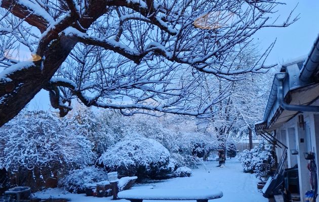 Une semaine glaciale