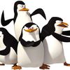 "Les pingouins de Madagascar" débarquent sur TF1!