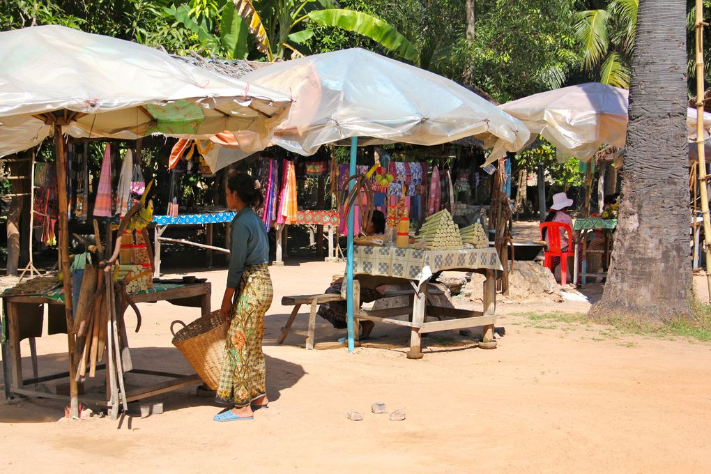 ressource nationale du Cambodge, le palmier a sucre présente de nombreuses utilités