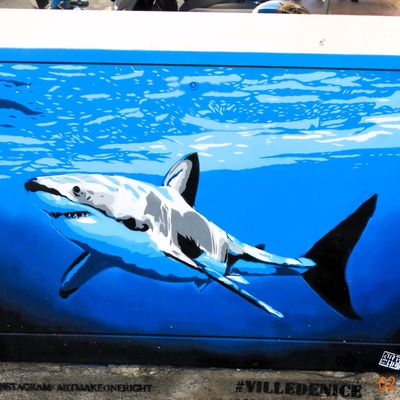 Voyage à Nice  févier 2025