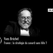 France : la stratégie du canard sans tête ? Yves Bréchet [EN DIRECT]