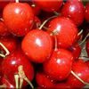 Cerises