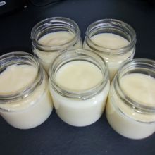 Crème dessert au citron au cookéo (ou à la casserole)