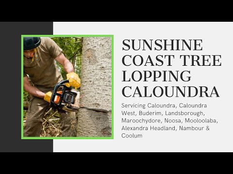 Sunshine Coast Tree Lopping Caloundra - Tree Loppers Sunshine Coast