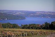 #Riesling Producers New York Vineyards page 10