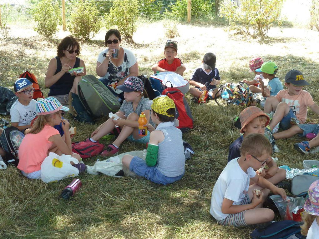 Pique nique dans les prairies de Suscinio pour toute l'école