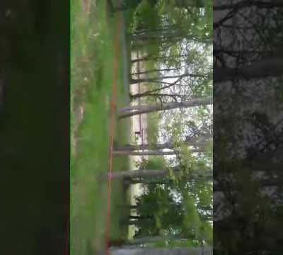 Rally de la Fougère !