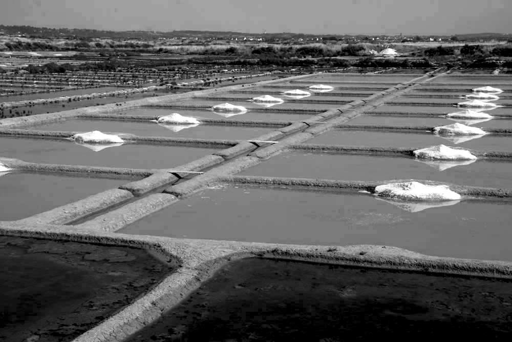 Album - Les Marais-salants de Guerande en noir et blanc