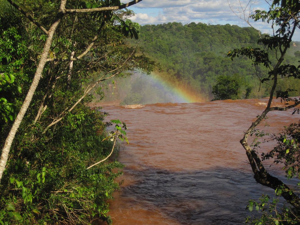 Album - Iguazu