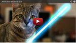 Un chat Jedi utilise la Force + un sabre lase - 4 videos