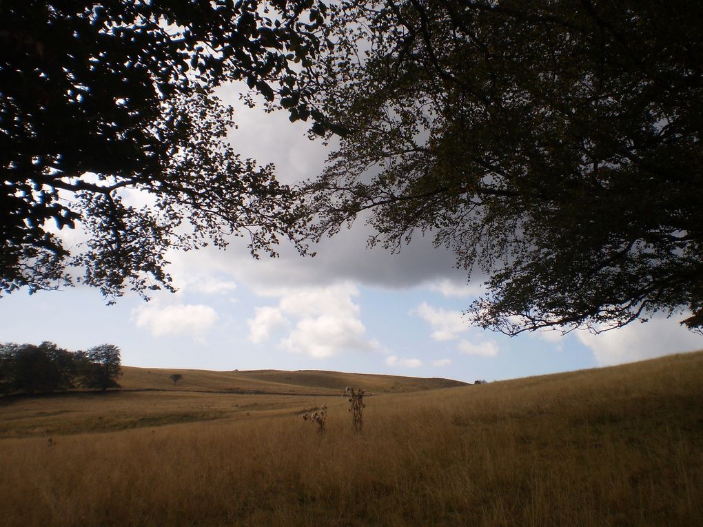  &quot;PERIPLE SUR LE CHEMIN DE COMPOSTELLE ... !&quot;