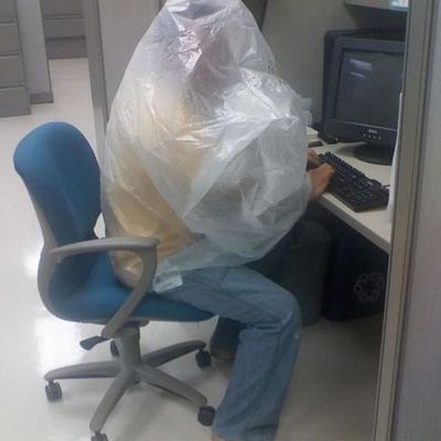 Les nouvautés 2009 ...