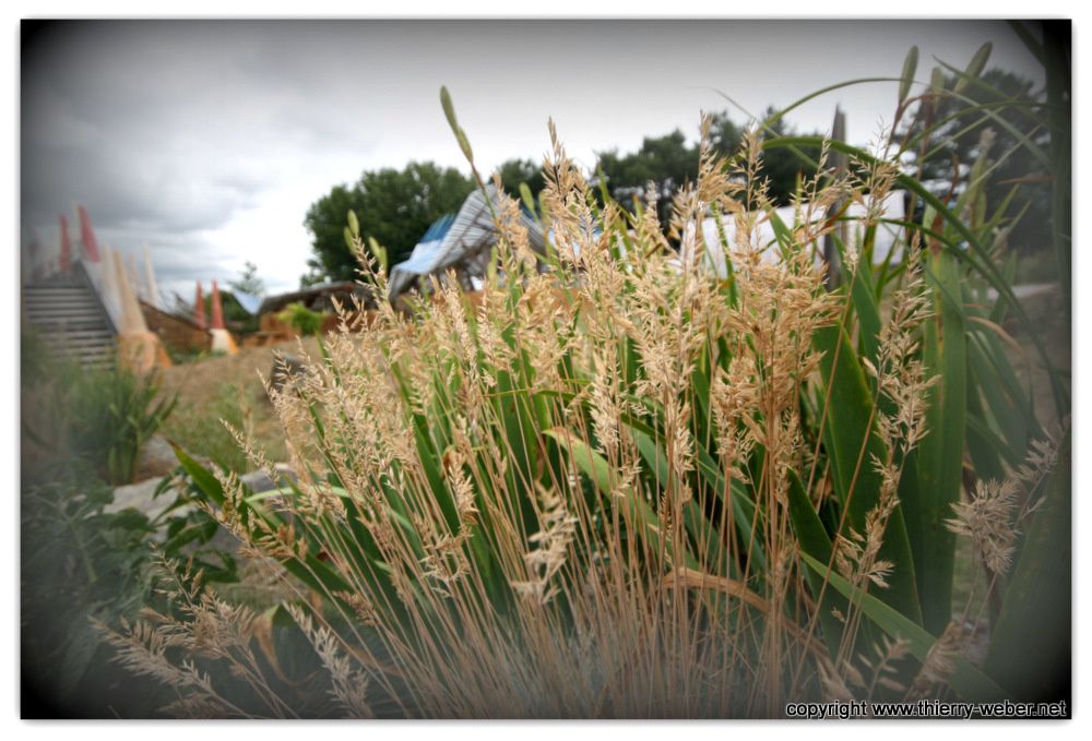 Album - Jardin Etoile Paimboeuf