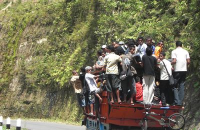 De Flores au Timor