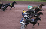 COURSES A VINCENNES 13/12/08