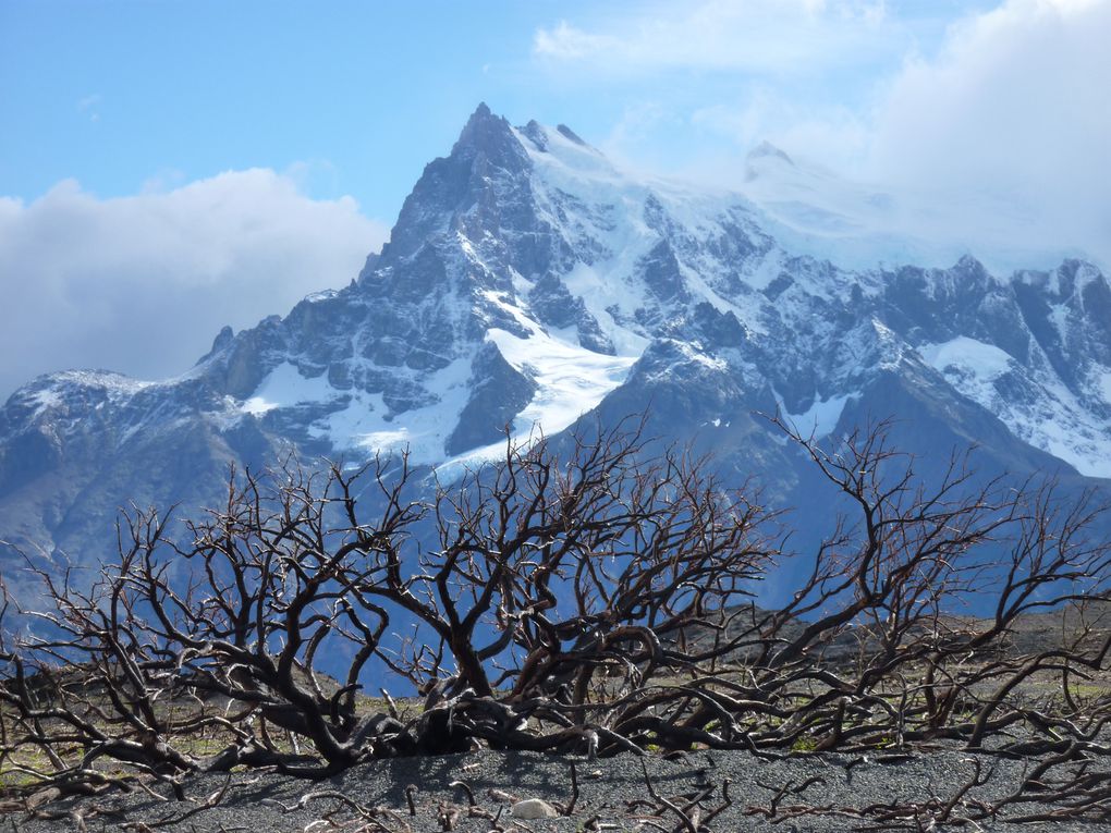 Et voilà l'album du Chili. Il vous permettra de découvrir tout ce que propose le Chili: la montagne, les glaciers, la mer, la ville, etc... Enjoy!!