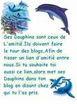 Dauphins de l'amitié