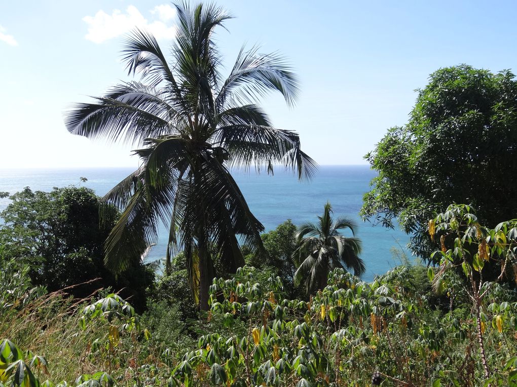 Voyage à Mayotte en mai 2013