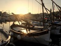 Des mâts et des coques plein les gamelles, c'est ça le port de Sanary....le plaisir de flâner au milieu des pêcheurs, car ici peu de yachts mais beaucoup de barques....un plaisir pour le regard car elles se déclinent au rythme de la journée comme des petites starlettes joueraient de la lumière et des regards....de vraies cabotines ces barques de pêcheurs....et puis quel délice de pouvoir déambuler avec rêverie sans voitures....et oui car l'été le port est piétonnier et vous offre un marché nocturne de qualité, durant deux mois, assurément le plus beau marché artisanal provençal de la Côte d'Azur, où les artisans sont sélectionnés avec rigueur pour l'originalité et la qualité de leur savoir-faire...Si vous passez dans le coin, allez vite vous promener à Sanary/Mer, cet endroit vaut le détour car il a su garder son authenticité dans un monde qui manque malheureusement de véracité....