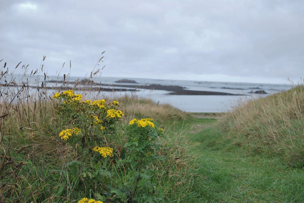 Une superbe petite île au large du Conquet. Une réserve de contrastes et de lumière.