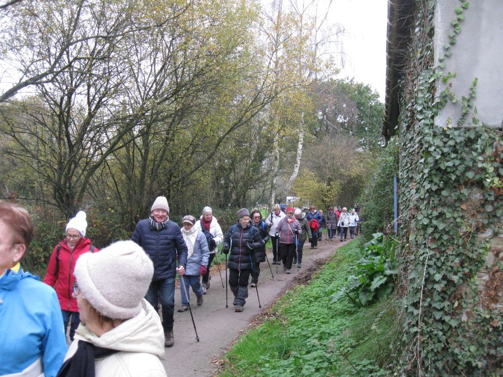 Promenons nous dans les bois... 