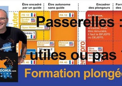 Passerelles niveau plongée français / américain : utiles ou pas ?