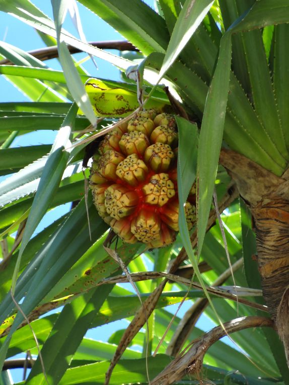 Album - 56.Sud de Bali et Lembongan (Indonesie--avril)