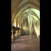 Installation Anne Poivilliers