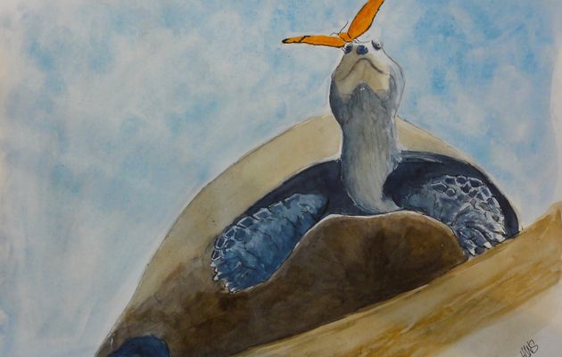 la tortue et le papillon