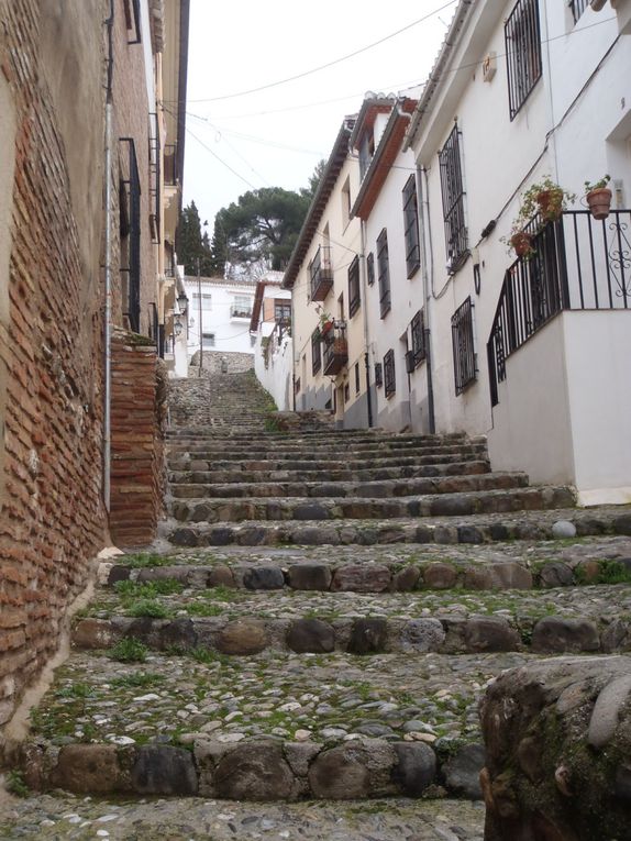 à Grenade, ça y est j'y suis! finalement arrivé en bus depuis Aguilas, je me retrouve dans un petit hotel assez cheap, mis en plein coeur du centre et super mignon. Laville est magnifique, avec son quartier arabe: Albaycín, où l'on sert des vrais thés à la menthe dand un genre de souk, ses gitans qui chantent tout leur répertoire en faisant chauffer la guitare,et ses hauts points de vues. L'alhambra, ancien palais royal du visir, est toute ausdi remarquable, j'y ferai un tour  avec Yurah, une américaine rencontrée à l'auberge qui vit à Seville(le hasard fait bien les choses). Le soir nous sortons en ville, tapas+bière=1,20€ si vous savez où aller, autant vous dire qu'avec 10€ en poche , vous sortez repus, et bourré! Bref une ville assez extraordinaire, par sa vie actuelle comme pour ses vestiges anciens, je vous la conseille chaudement!