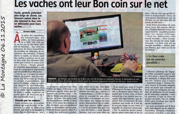 La vente de bovins sur le Bon Coin 