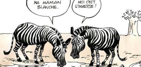 Le racisme selon Goulven Mazéas