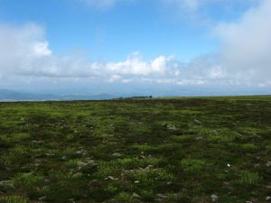 GR 70 - STEVENSON / PARTIE 3 : LE MONT-LOZERE