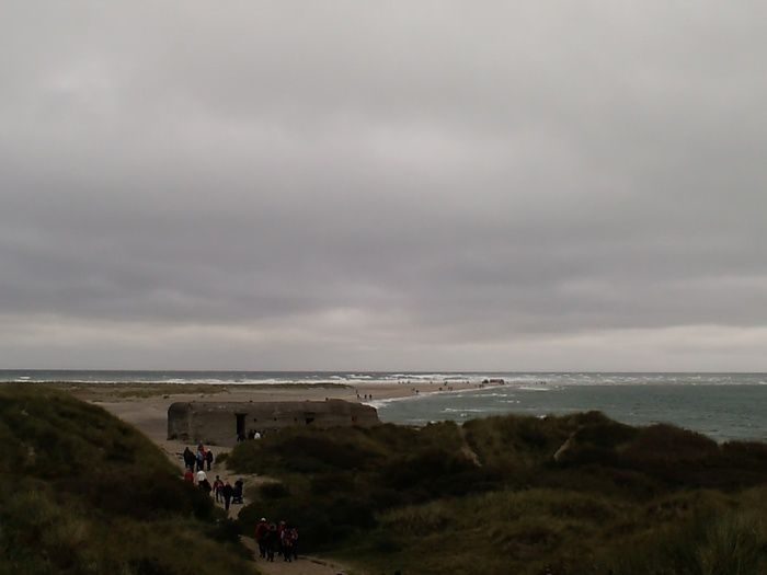 Grenen (la pointe nord du Danemark, entre la mer du Nord et la Baltique) et Raabjerg Mile (les dunes de sables), du côté de Skagen, Danemark. Automne 2010.
J'y suis allée pour accompagner des étudiants en échange universitaire.