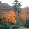 couleurs d'automne sur le campus