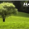 Hazlo Eco – Engagés jusqu’au bout