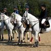 Attelages des Marais : Concours CSO