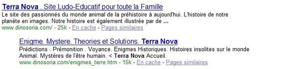 Comment je ne suis pas devenu expert chez Terra Nova (ma vie textuelle)