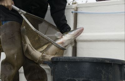 Vacances en Novembre 2012 orientées pêche