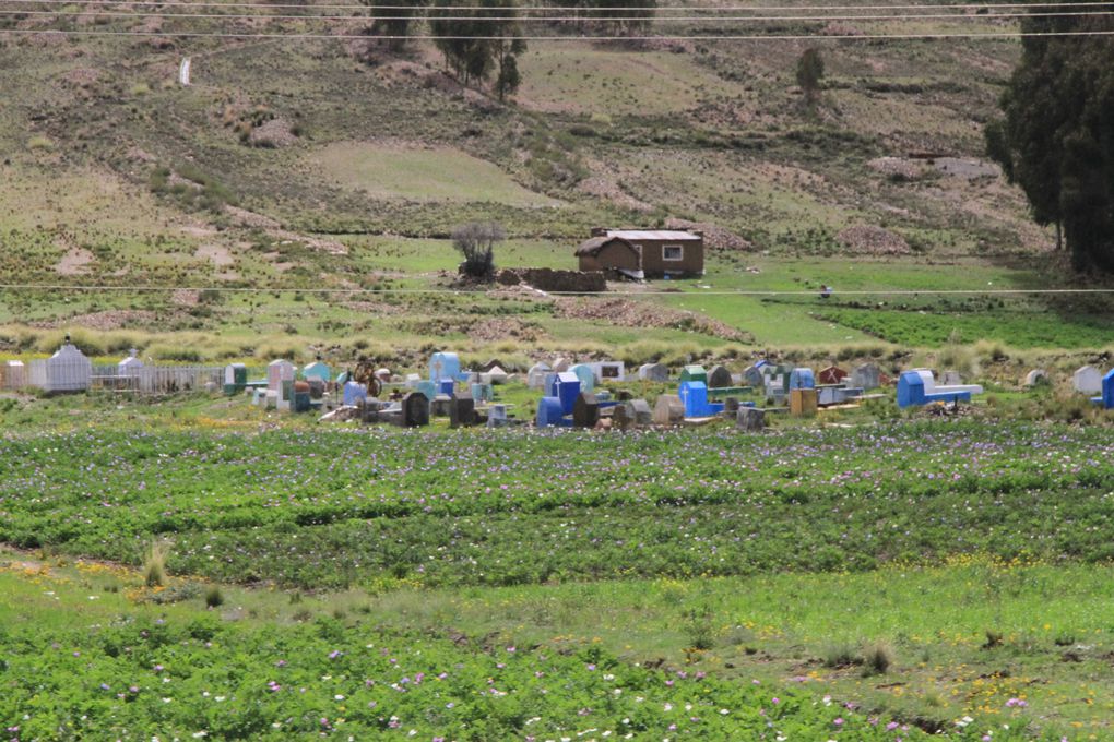 Album - Bolivie Copacabana