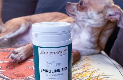 Cure de spiruline bio Ultra Premium Direct 