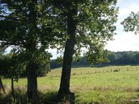 Montaclier / Gorges d' Enval.