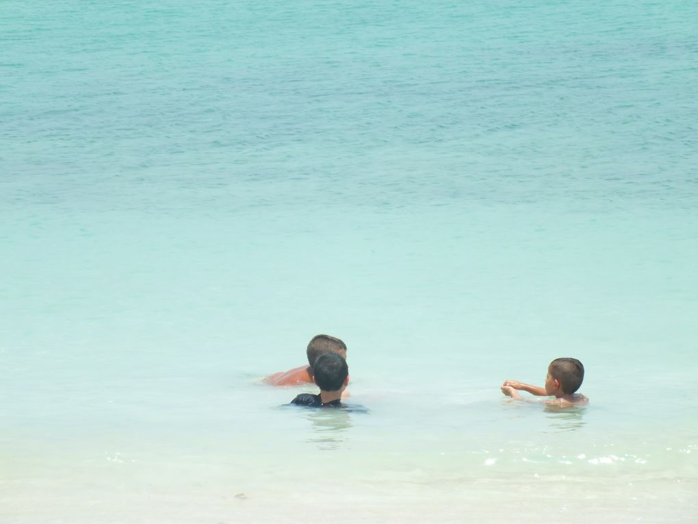 journée de repos sur l'île de Moucha!!! une eau turquoise de pure beautée!