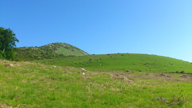 1ère étape de transhumance pour un mois (de mi-mai à mi-juin), avant de revenir cet automne