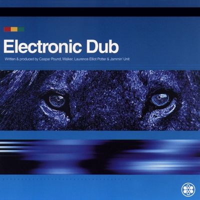 Electronic Dub ‎- Electronic Dub - 1994