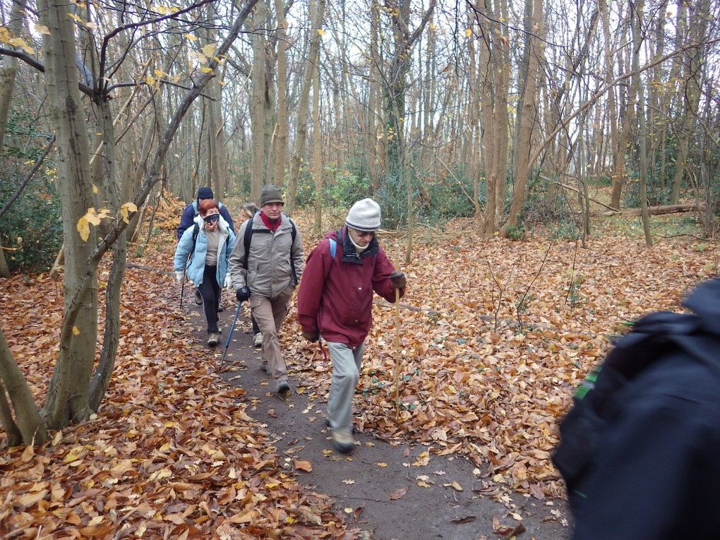 Orgeval - Traversée du parc de la Brunetterie.